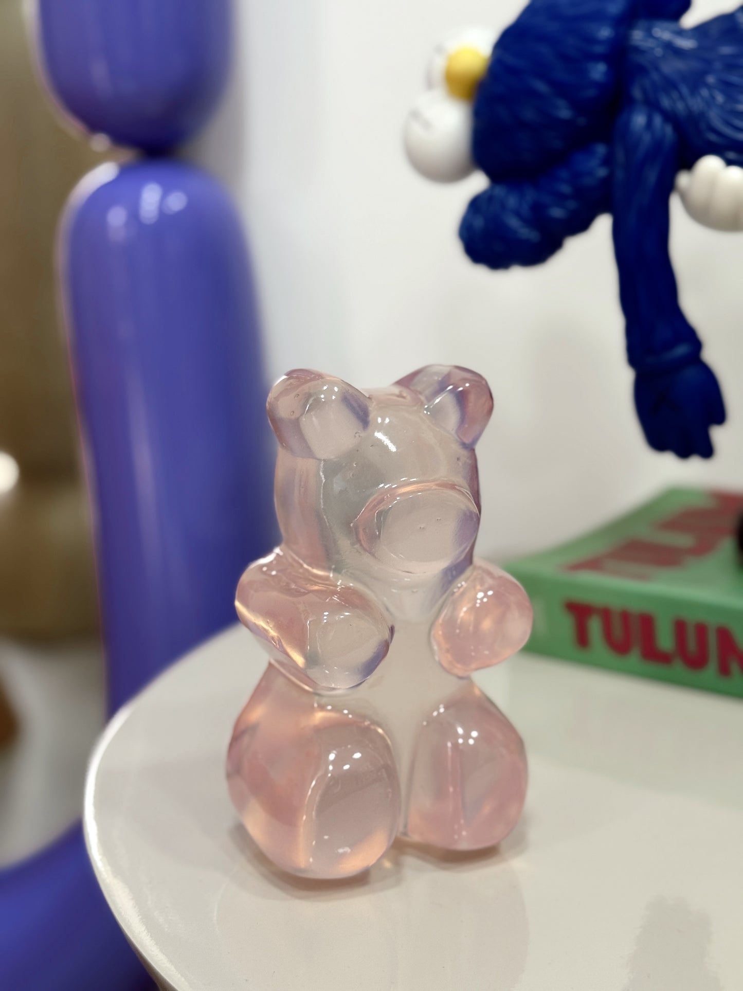 PANDITA TRASLÚCIDO