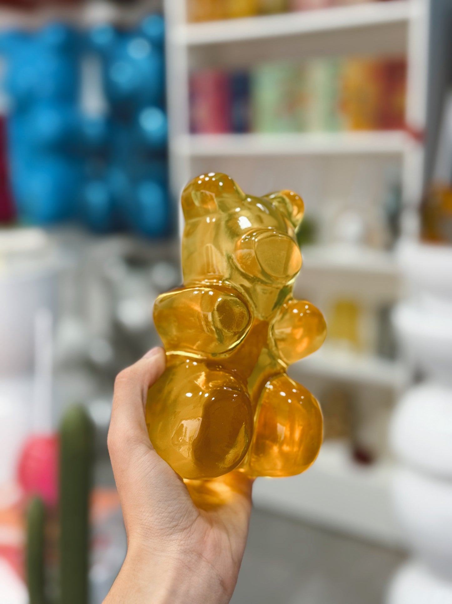 PANDITA TRASLÚCIDO