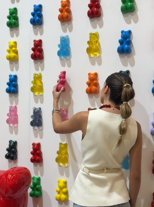 Pandita de muro: guía de instalación y cuidados